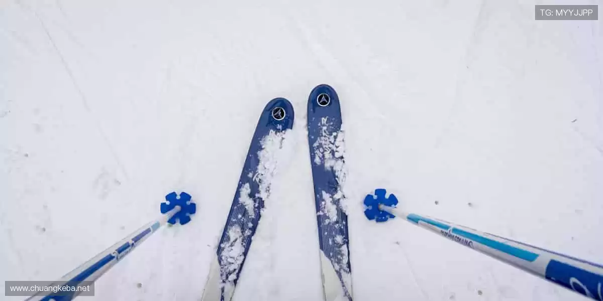 📱【直播平台】超清画质,错过的精彩都在这里回放!